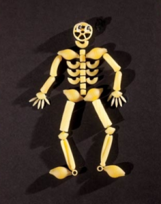 pasta skeleton